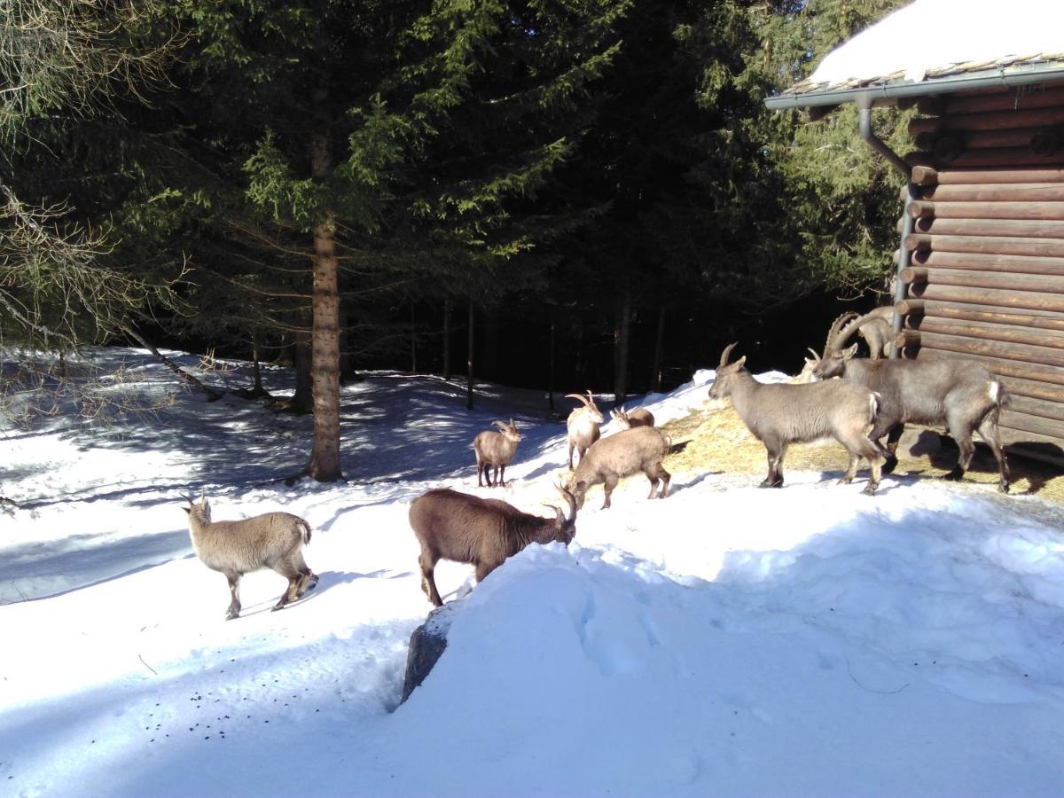 Hotel Bed & Rooms , Corte Rossa -1 Min Walk To Bernina Express Tirano Exterior foto